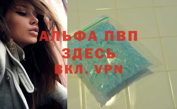 винт Гусев