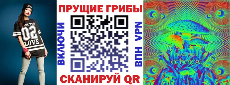Псилоцибиновые грибы Psilocybine cubensis  купить наркотик  Усть-Джегута 