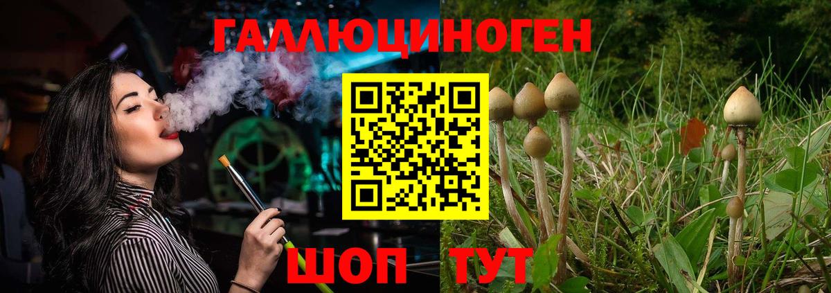 Усть-Джегута  Галлюциногенные грибы Psilocybine cubensis  Вход с VPN  Галлюциногенные грибы Psilocybe 